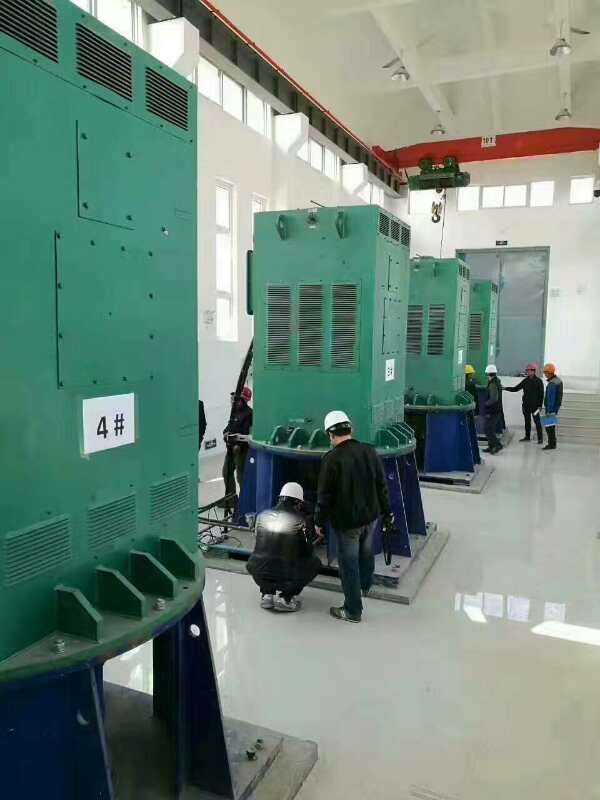 普陀某污水处理厂使用我厂的立式高压电机安装现场